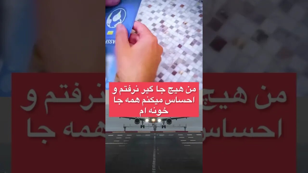 همچين پاسپورتي ميخواي؟ #shorts #shortsfeed #shortsvideo