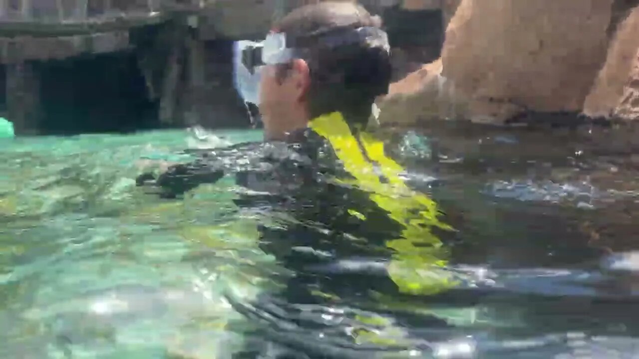 Discovery Cove 2023 08 19 14 26 39