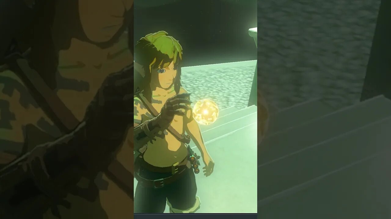 Birds Do THIS In Breath of the Wild?!? #botw #shorts