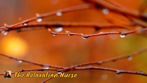 Peaceful Music, Stress Relief, Calm Music for Meditation, Beautiful Relaxing Music, Study Music