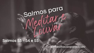 SALMOS MEDITAR E LOUVAR- Salmos 53 - Juízo - Salmos 54 - Lamento - Salmos 55 - Livramento