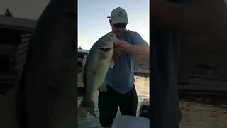 Best Fishing Rap Verse Yet?!!