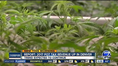 New Denver pot report shows an increase in tax revenue, decline in crime