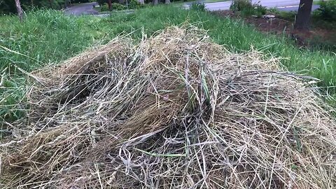 Grass as a natural resource for soil building