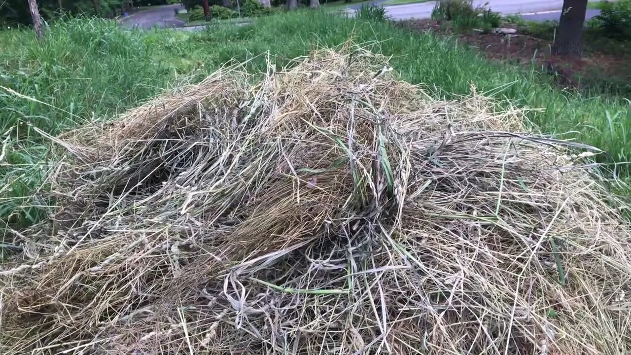 Grass as a natural resource for soil building