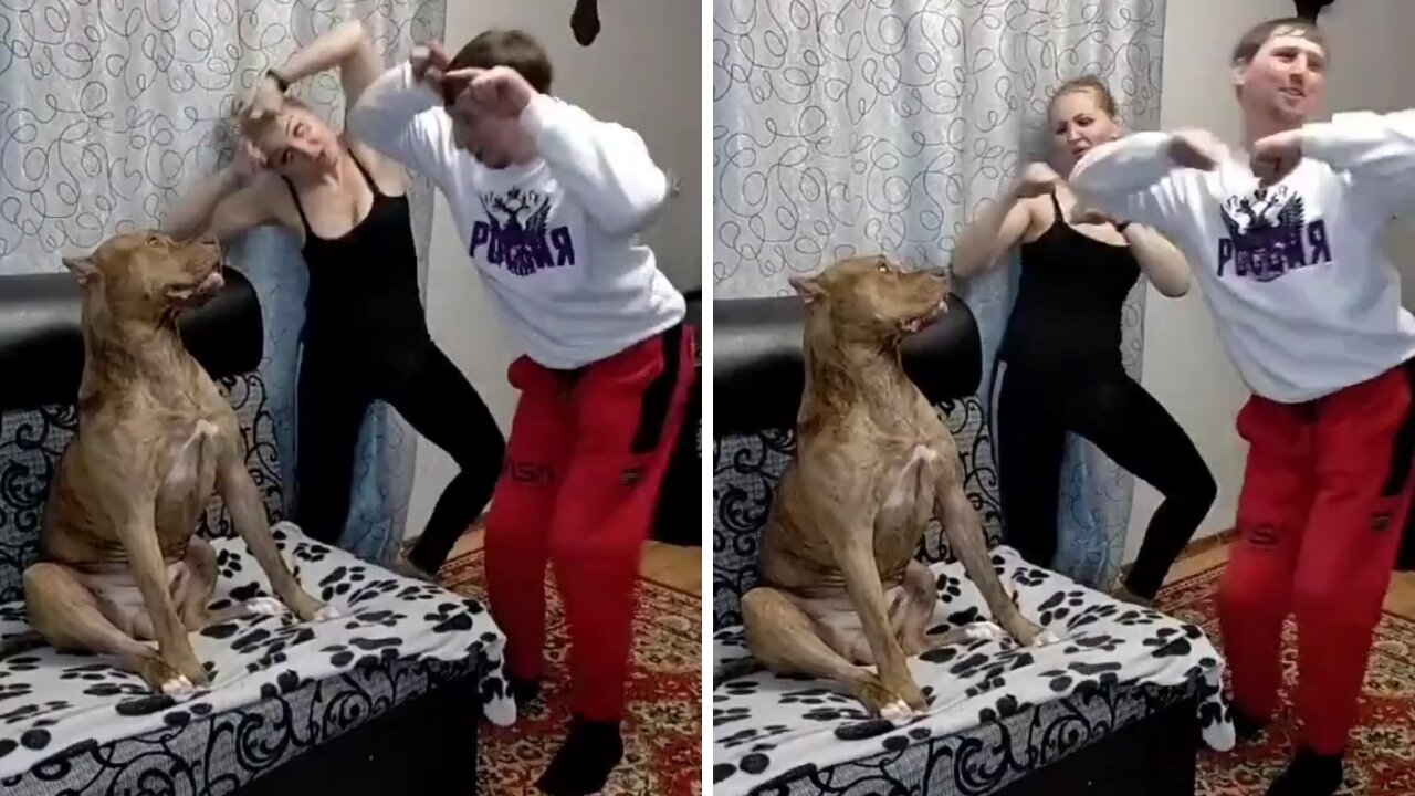 👀😂😂