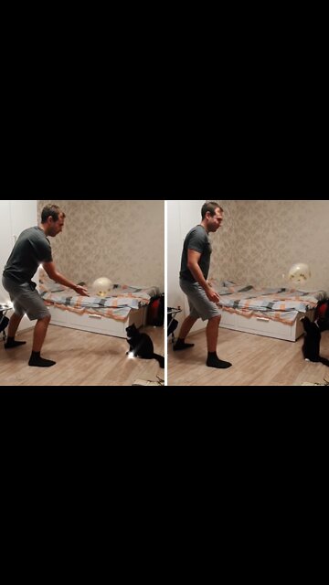 Kitten & Owner Adorably Play Catch With A Balloon