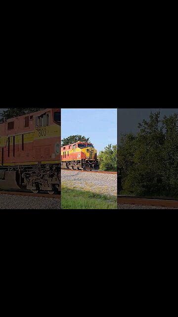 Florida East Coast Railway FEC-202 at South Daytona July 1 2023 #fec202 #railfanrob