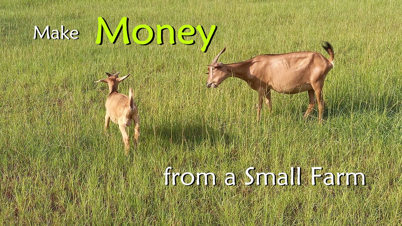 How to Make Money from a Small Farm