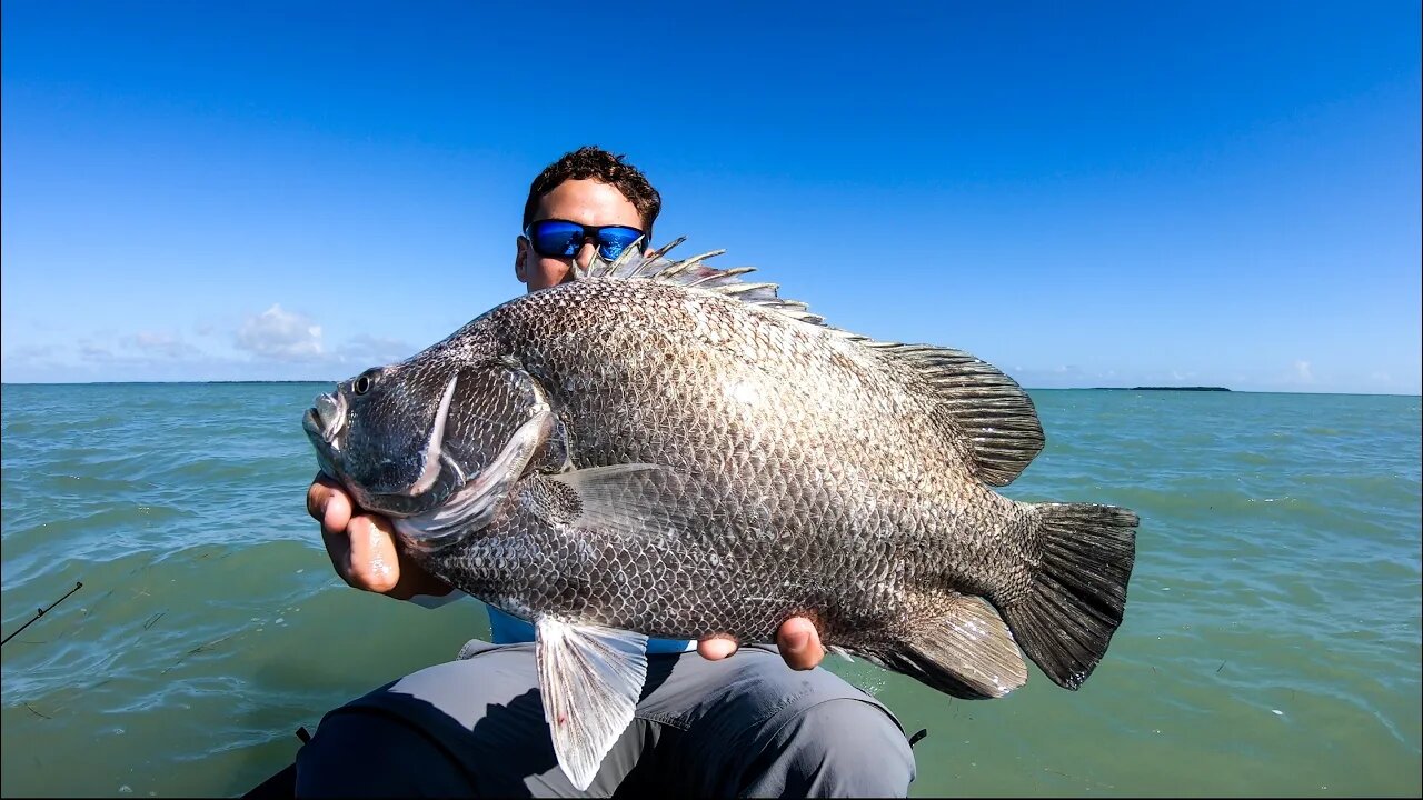 Everglades National Park (Triple Tail, RedFish, Jack Crevalle, Sharks) Thanksgiving Catch Clean Cook