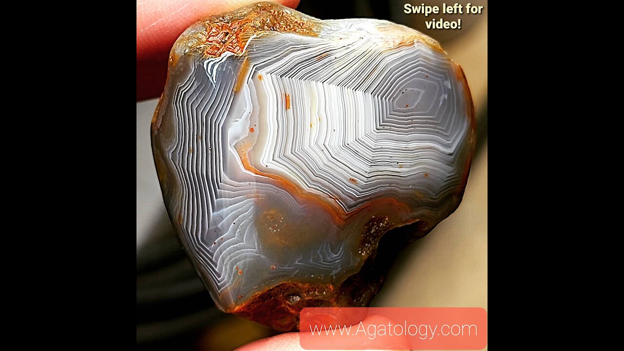 Gorgeous, Small, Multi-colored Lake Superior Agate featured on Agatology.com