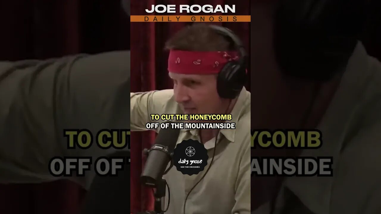 The MAD HONEY Joe Rogan Podcast #shorts #joerogan