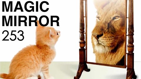 Magic Mirror 253 - VS