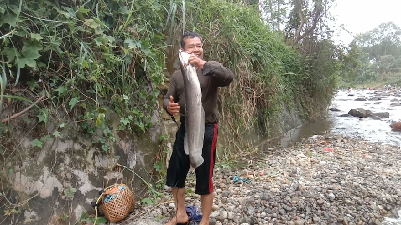 Get Monster Catfish While Net Fishing in the River