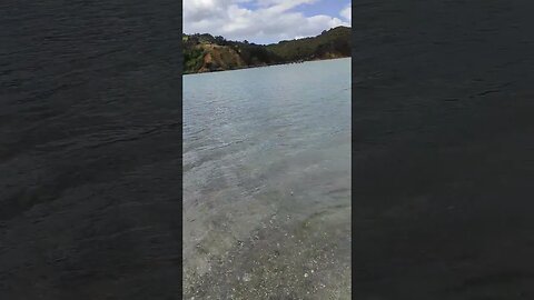 Back up to the road from the beach.