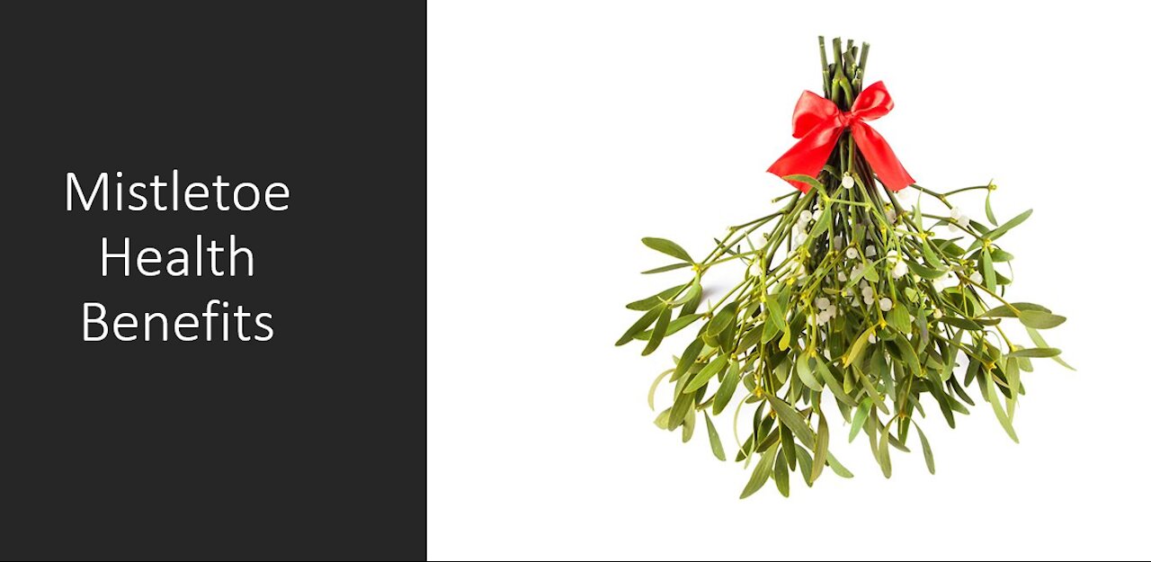 Mistletoe - Benefits