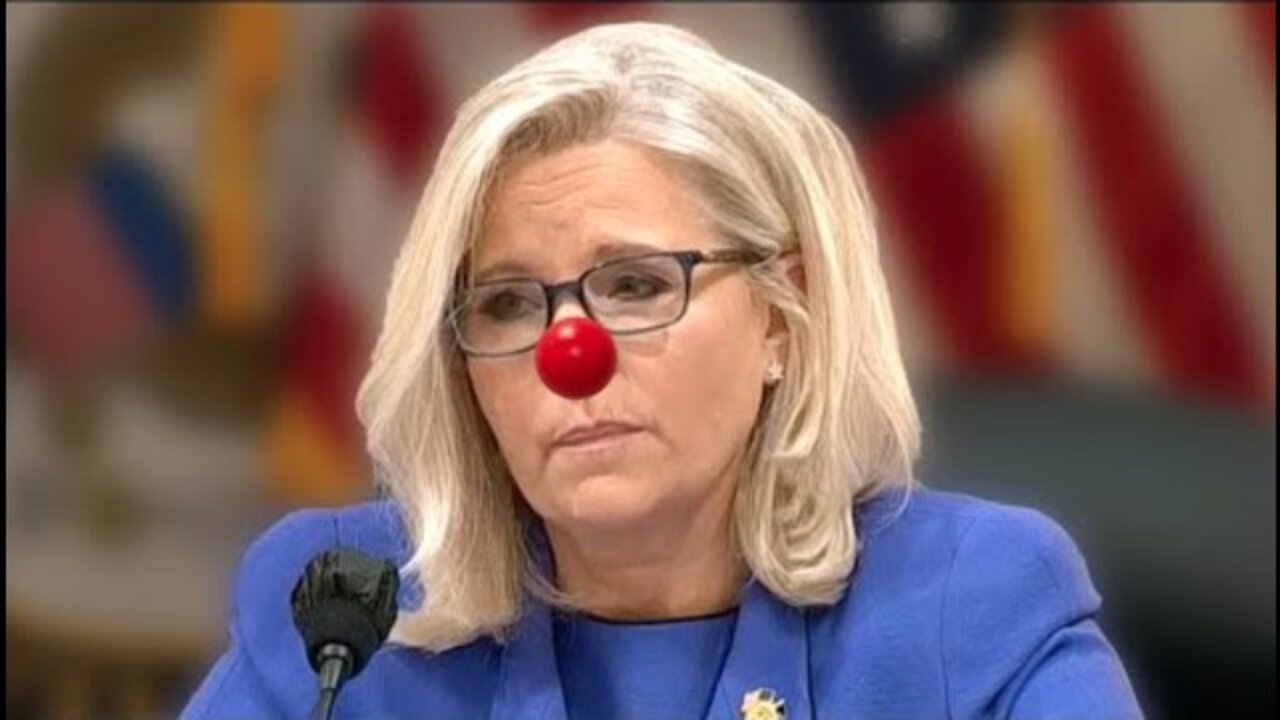 BYE BYE LIZ CHENEY!