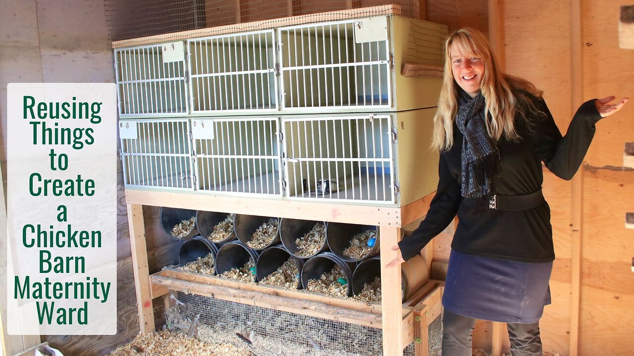 Re-Using Discarded Things to Create a Chicken Barn Maternity Ward - A Better Setup For Broody Mamas