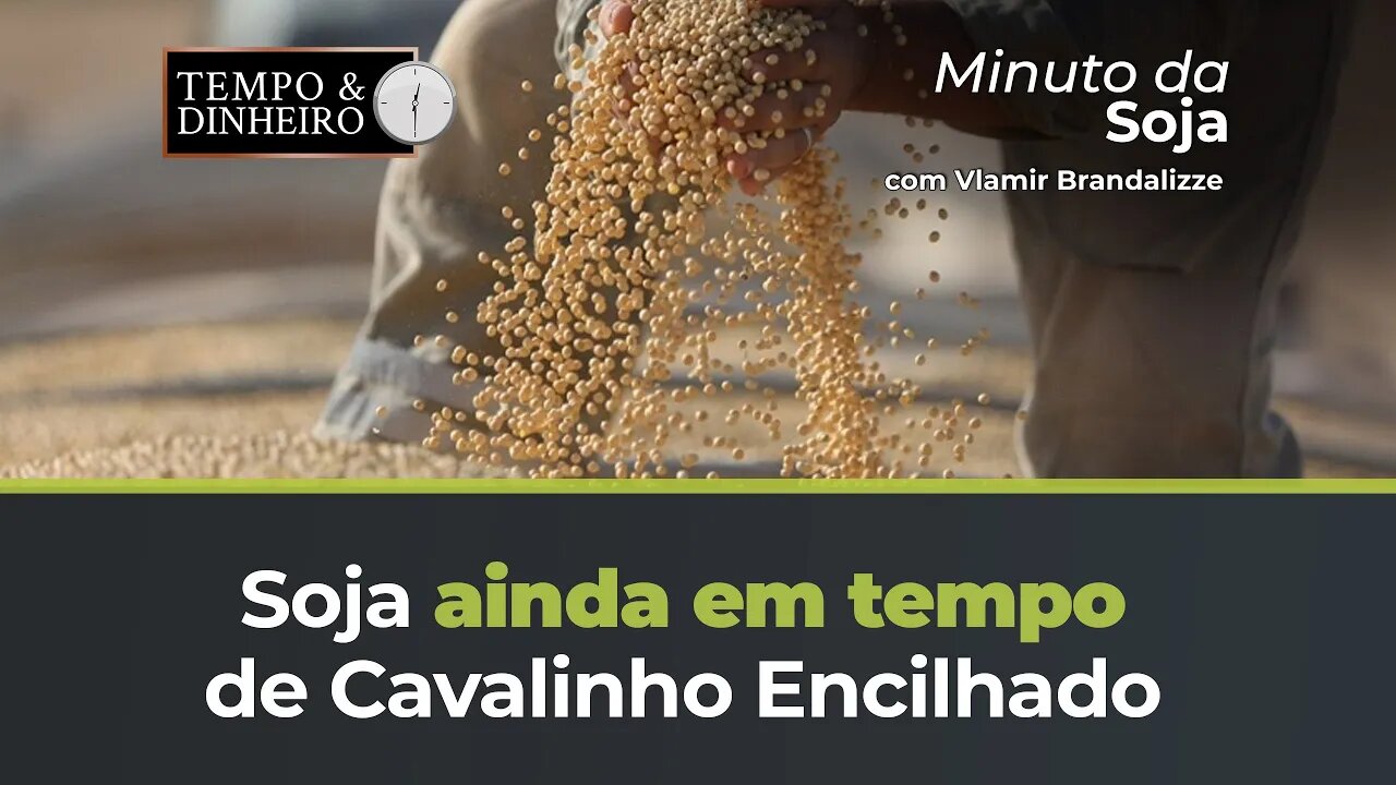 Soja ainda em tempo de Cavalinho Encilhado
