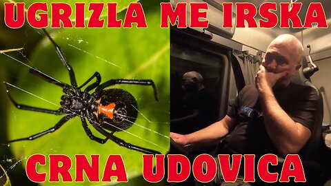 Ugrizla me Crna UDOVICA
