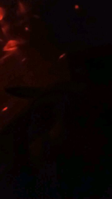 rumble update reaction studio