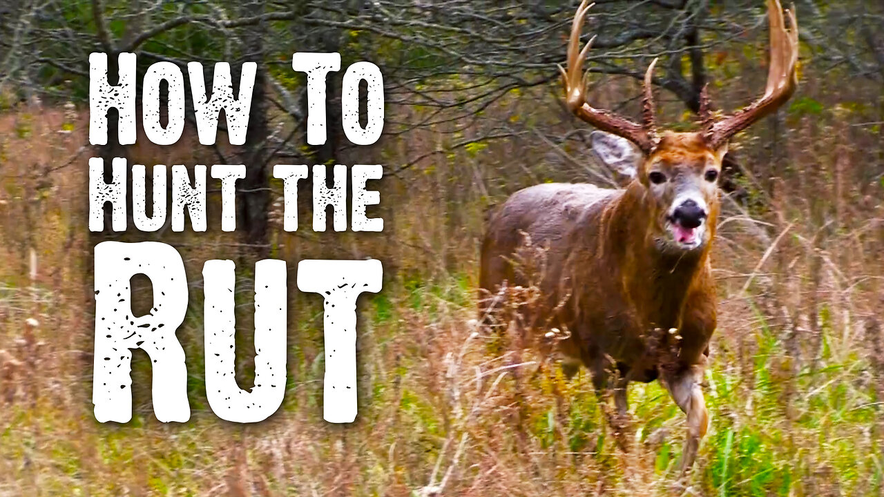 How to Hunt the Rut