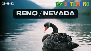 RENO NEVADA CISNE NEGRO