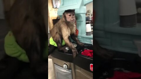 Washing dishes today friends!Today I was working in my new kitchen washing dishes and my water isn’t