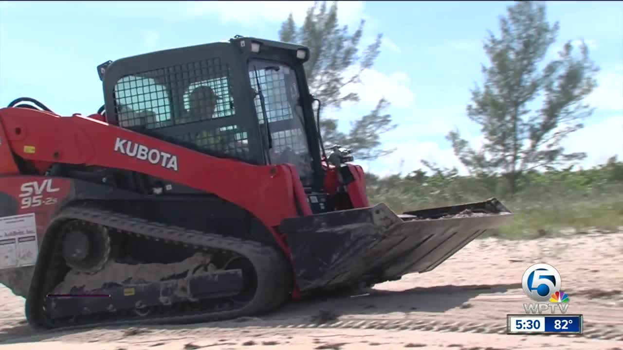 Dead fish cleanup begins in St. Lucie County