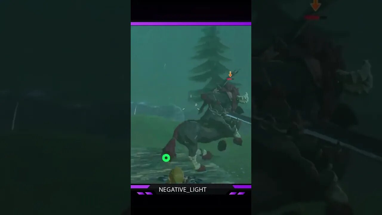 Killing a Horsey in Legend of Zelda Breath of the Wild #shorts