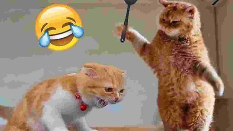 best funny video of year 2024