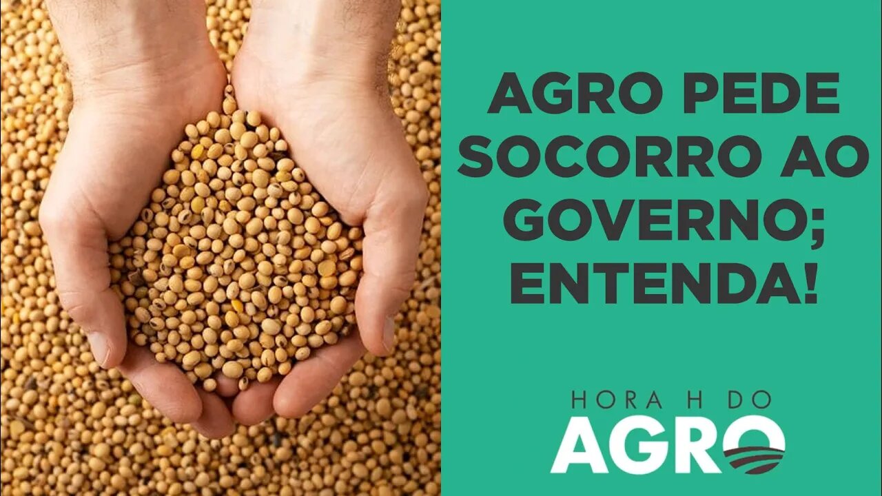 Agro pede ajuda ao governo após queda dos grãos; margens dos agricultores chegam a zero | HORA H