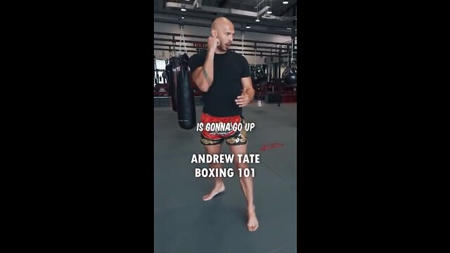 Andrew Tate Teaches How To Box