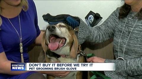 Don't Buy It Before We Try It: Pet Grooming Brush Glove