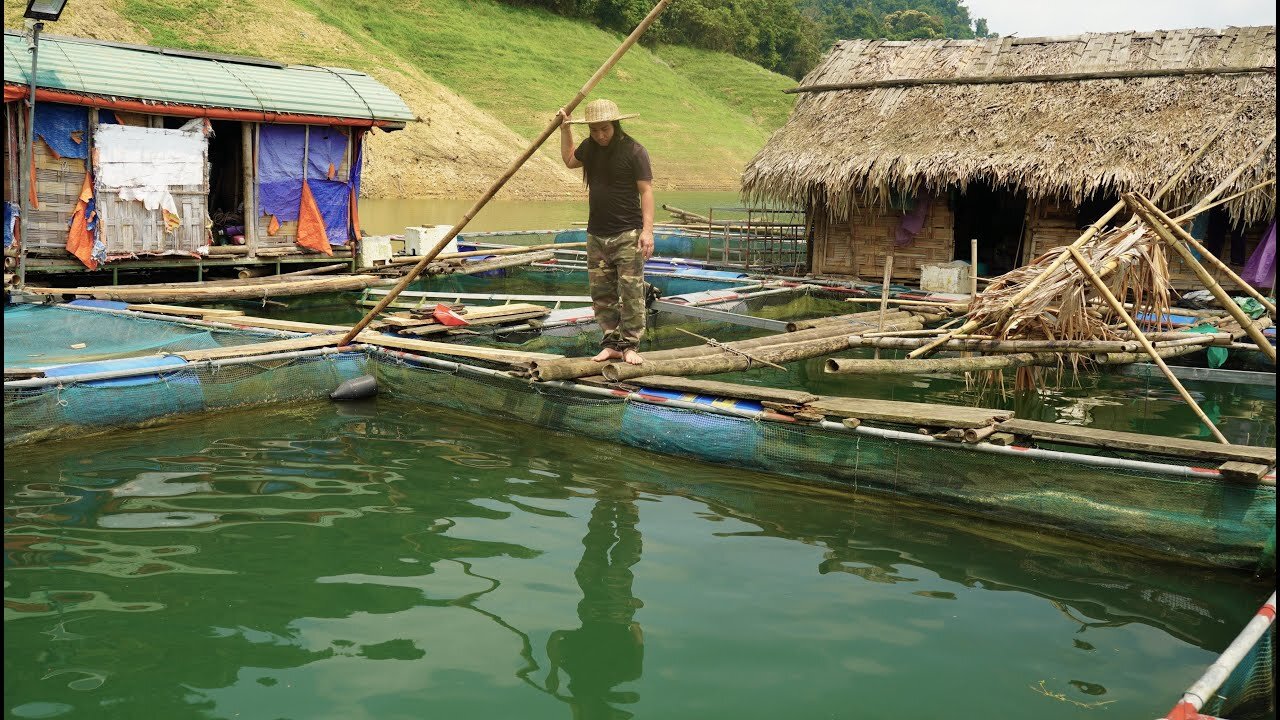 Making Fish Cages, Fishing and Selling to Traders, River Survival