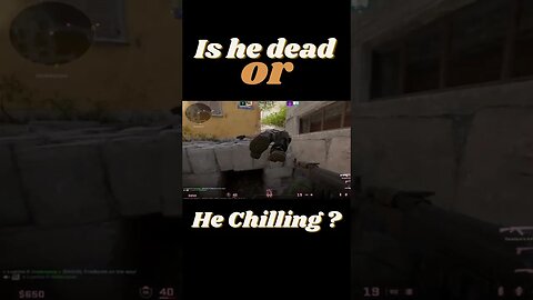 Bro is Chilling #cs2 #cs2beta
