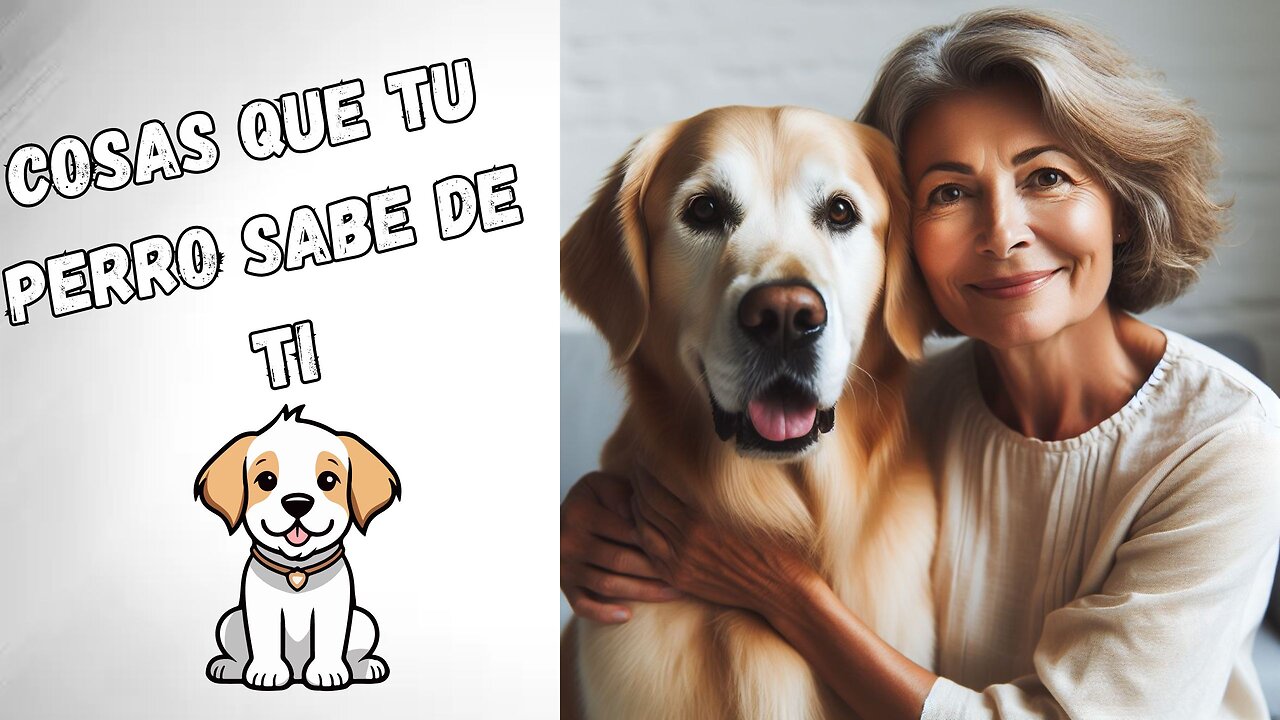 5 Cosas Que Tu Perro Sabe Sobre Ti Sin Decirtelo