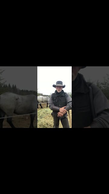 True Canadian Cowboy: Assless👖Chaps🤠