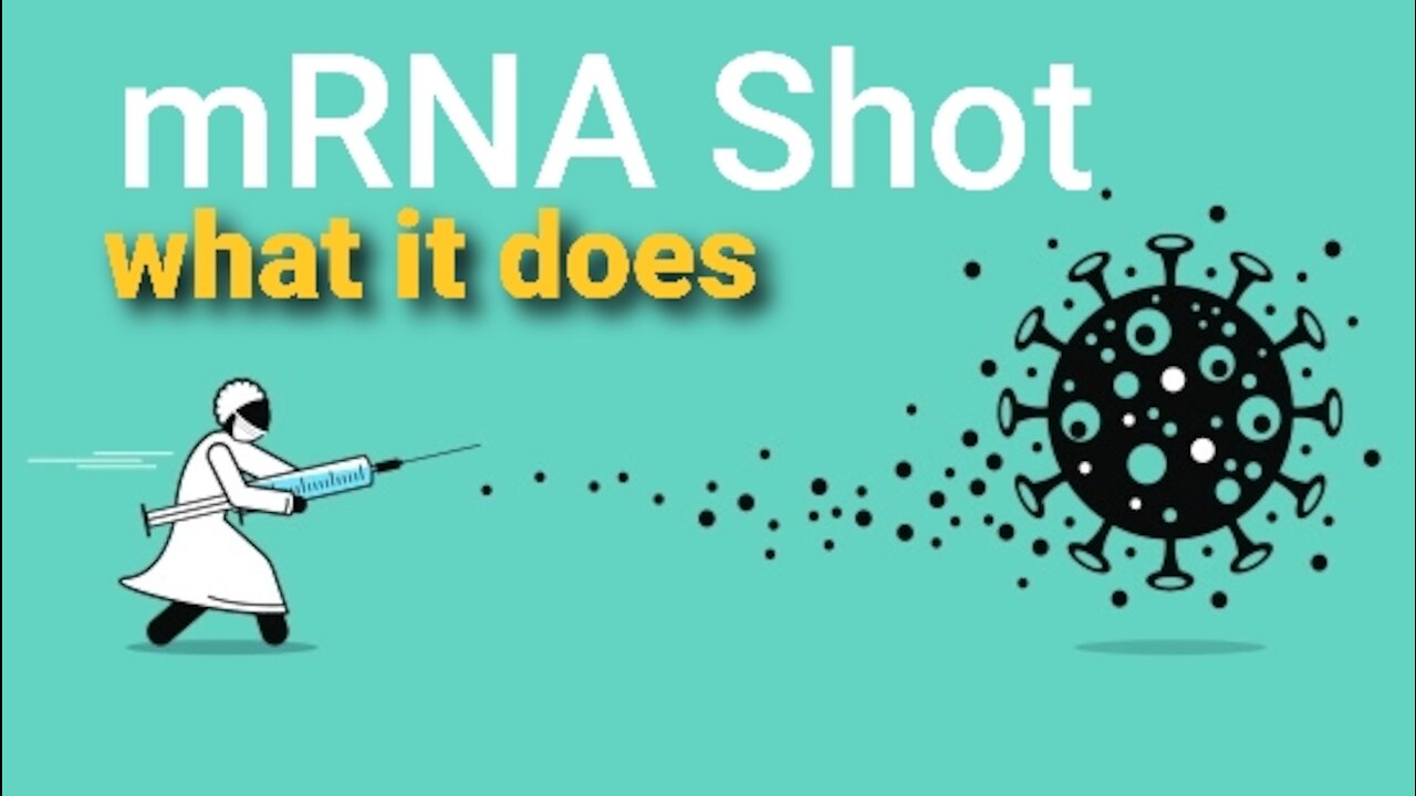 What do the Pfizer & Moderna mRNA Jabs really do?