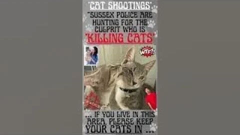 🔎 “SURREY POLICE ARE HUNTING FOR A ‘CAT KILLER’ WHO IS SHOOTING CATS”! #shorts #wtf