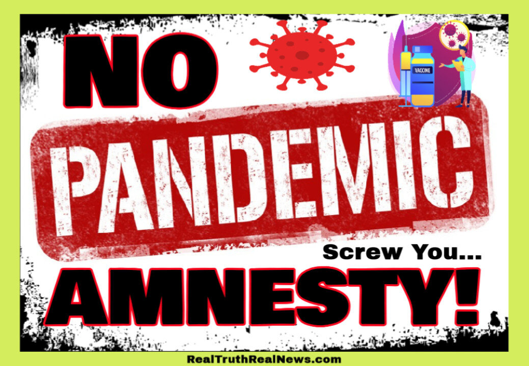 🎯 REPOST: Economist Emily Oster Suggests ‘Pandemic Amnesty’ ~ Not a Chance In Hell Lady! We Want Justice, Accountability and Punishments!