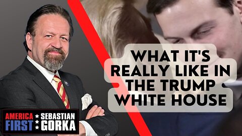 What it's Really Like in the Trump White House. Jared Kushner with Sebastian Gorka One on One