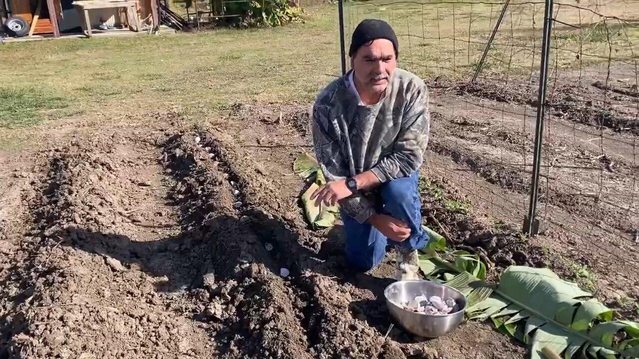 Planting potatoes in 2024. Do store bought potatoes actually make potatoes?