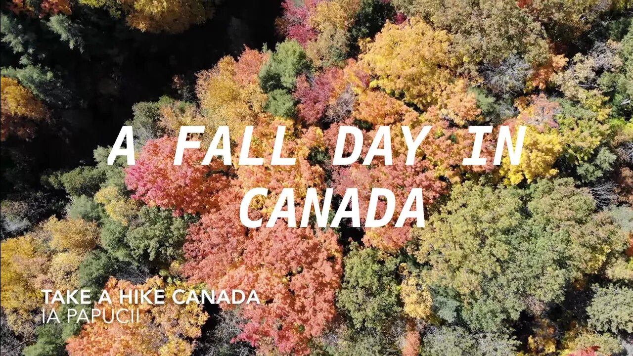 Take a Hike Canada Fall Forest Colours and a beautiful Fall Day