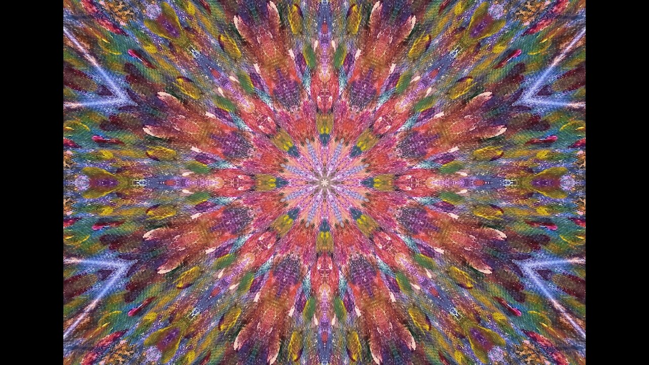Transformations: Kaleidoscopic Images