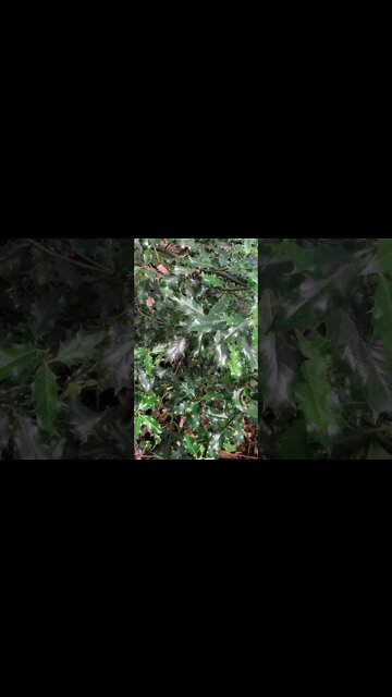 (1) Just Stop Oil protestors need to stop. They are just turning people off green issues.