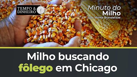 Milho buscando fôlego em Chicago