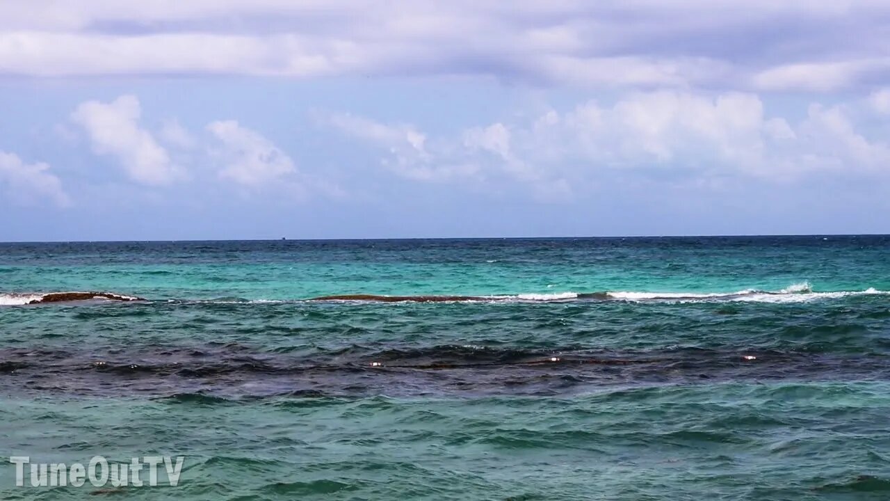 Relax With Oceanic Ambience | ASMR | Water & Ocean Ambient White Noise