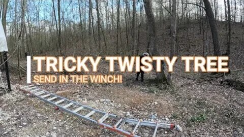 Tricky Twisty Tree