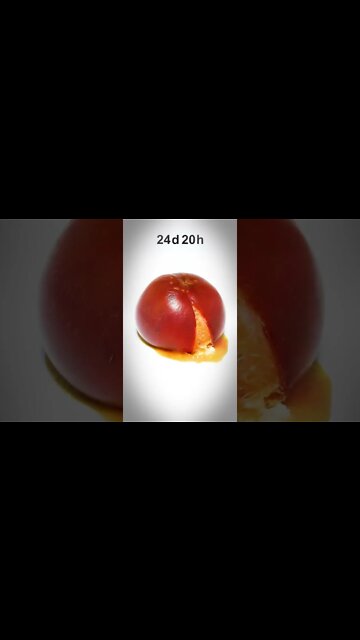 Amazing Shorts Time laps video 👍😎 #short #shorts (1)